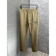 Arcteryx Long Pants